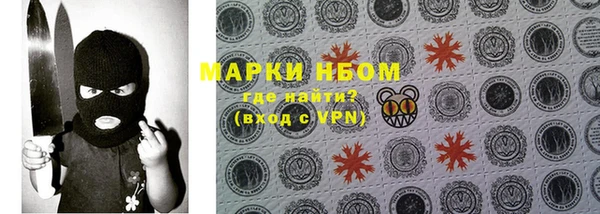 прущие грибы Алексин