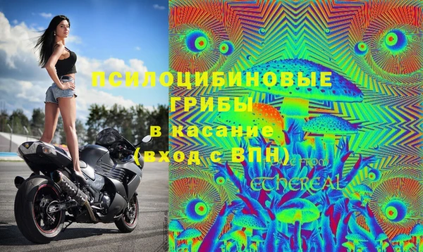 амф Алексеевка