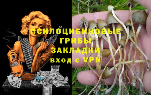 прущие грибы Алексин