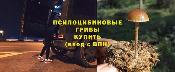 прущие грибы Алексин