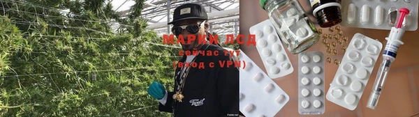 прущие грибы Алексин