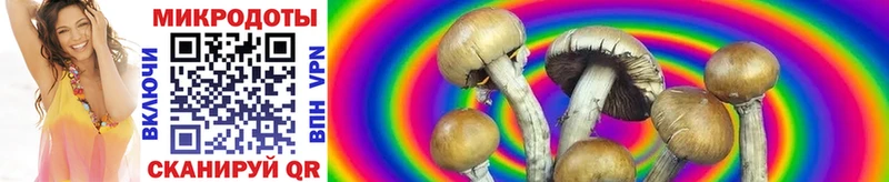 Галлюциногенные грибы Psilocybine cubensis  hydra tor  Курганинск  даркнет сайт 